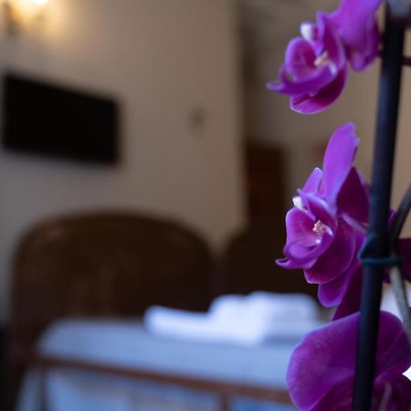 Citta Di Castello Rooms Eksteriør bilde