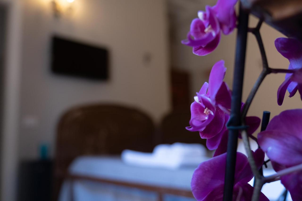 Citta Di Castello Rooms Eksteriør bilde
